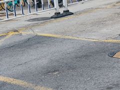 -金陵花卉交易市场