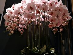 -新白鹿餐厅(爱琴海购物中心店)