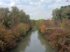 -昆山城市生态森林公园