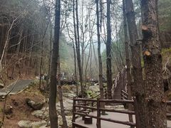 -王顺山国家森林公园