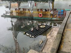 -靖西鹅泉风景区