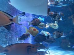 -沈阳海洋探索中心