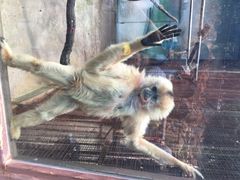 昆明动物园-昆明动物园