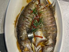 -同喜烤鸭店(光芒店)