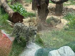 -青藏高原野生动物园