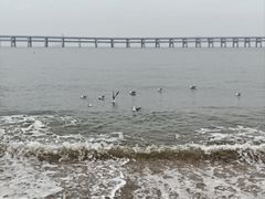-黑石礁公园