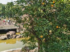 -无锡动物园·太湖欢乐园