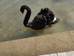 -上海怡沁园度假酒店