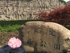 -嘉定紫藤园