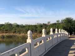 -大港湿地公园