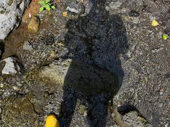 -峡谷浮石林景区