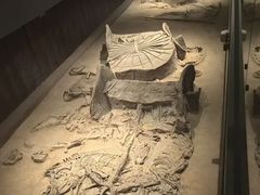 -北京大葆台遗址博物馆