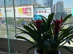 -點無缺茶楼·海鲜酒家(世博店)