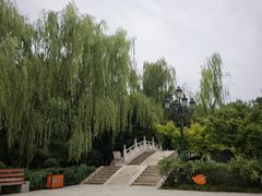 -西安青龙寺遗址景区