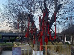 -西安汉城湖景区