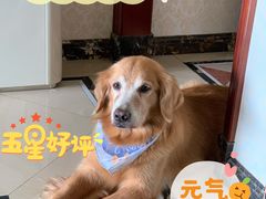 -芭比堂动物医院广州顽皮分院