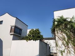 -东梓关景区村庄