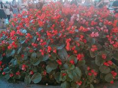 -八一路好吃街(雨田商务大厦店)