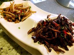 -慢丽江·云南野生菌土鸡锅(西山店)