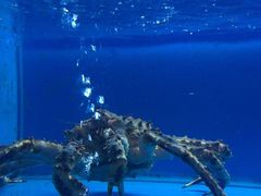 -月下料理(楷林IFC店)