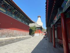 -妙应寺白塔