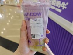 -一只酸奶牛(来福士店)