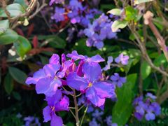 -南京市江宁方山