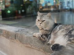 -顺德南宏海立方海洋公园