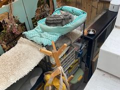 -小时光咖啡馆(北锣鼓巷店)