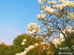 -江南大学(蠡湖校区)