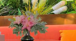 -花隐·美芙炫海菲秀皮肤管理中心