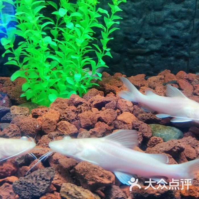 南太湖海洋公园