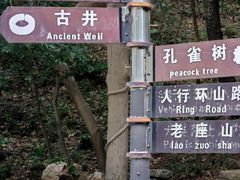 -金龙寺国家森林公园