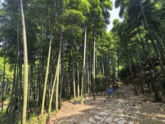 -莫干山风景区