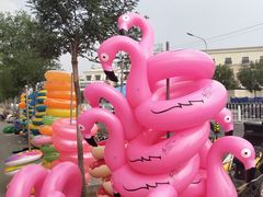 -欢乐水魔方水世界