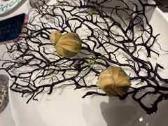 云腿野菜石榴包-桂满陇·海市蜃楼·黑金(国金店)