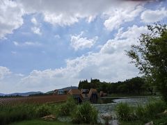 -渤公岛生态公园