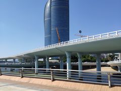 -演武大桥观景平台