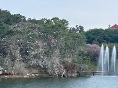 -广州莲花山旅游区