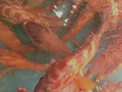 -宜宾海鲜酒家·三十年老字号