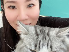 -飞行喵MR PILOT|猫舍·猫咖(静安大融城店)