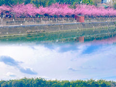 -望江楼公园