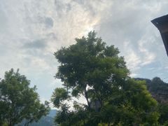 -崔记生活·铁锅炖鱼粘卷子(总店)