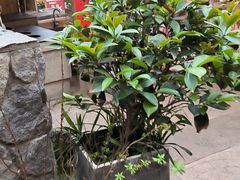 -田园印象·成都土菜院子(华阳店)