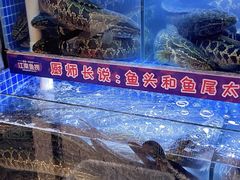 -江南鱼捞(北仑银泰城店)