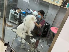 -宠福鑫康馨动物医院·骨科·眼科
