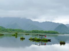 -大九湖
