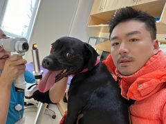 -美联众合动物医院·24h京西诊疗中心