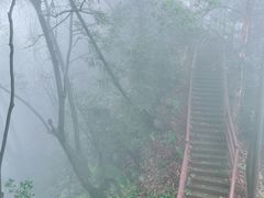 -缙云山景区