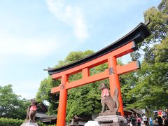 -有栖山 清光院 清水寺